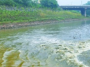 保定满城污水清运多少钱